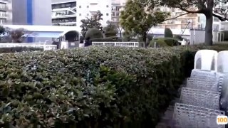 【9总全国探花】白衣丰满妹子搞完穿衣摸逼再来第二炮，直接开干大力猛操快速抽插呻吟